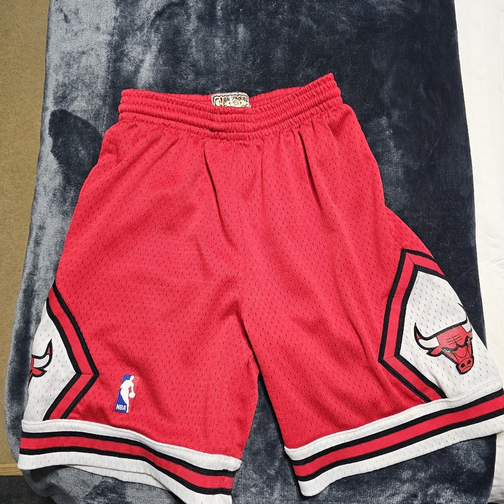 Mitchell and Ness Bulls Shorts
